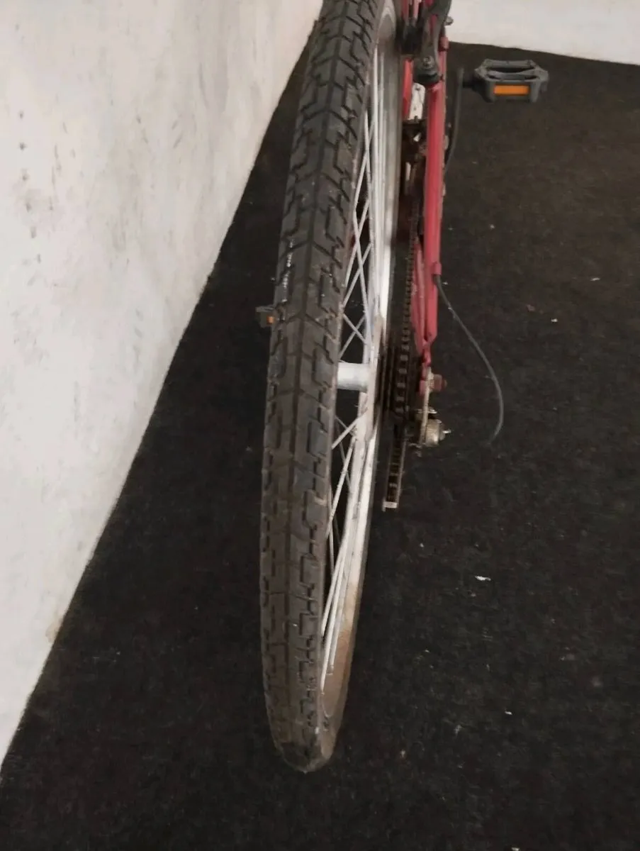 28inch hybrid - Image 3