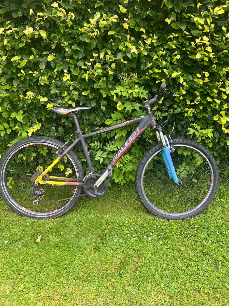Bike - Image 1