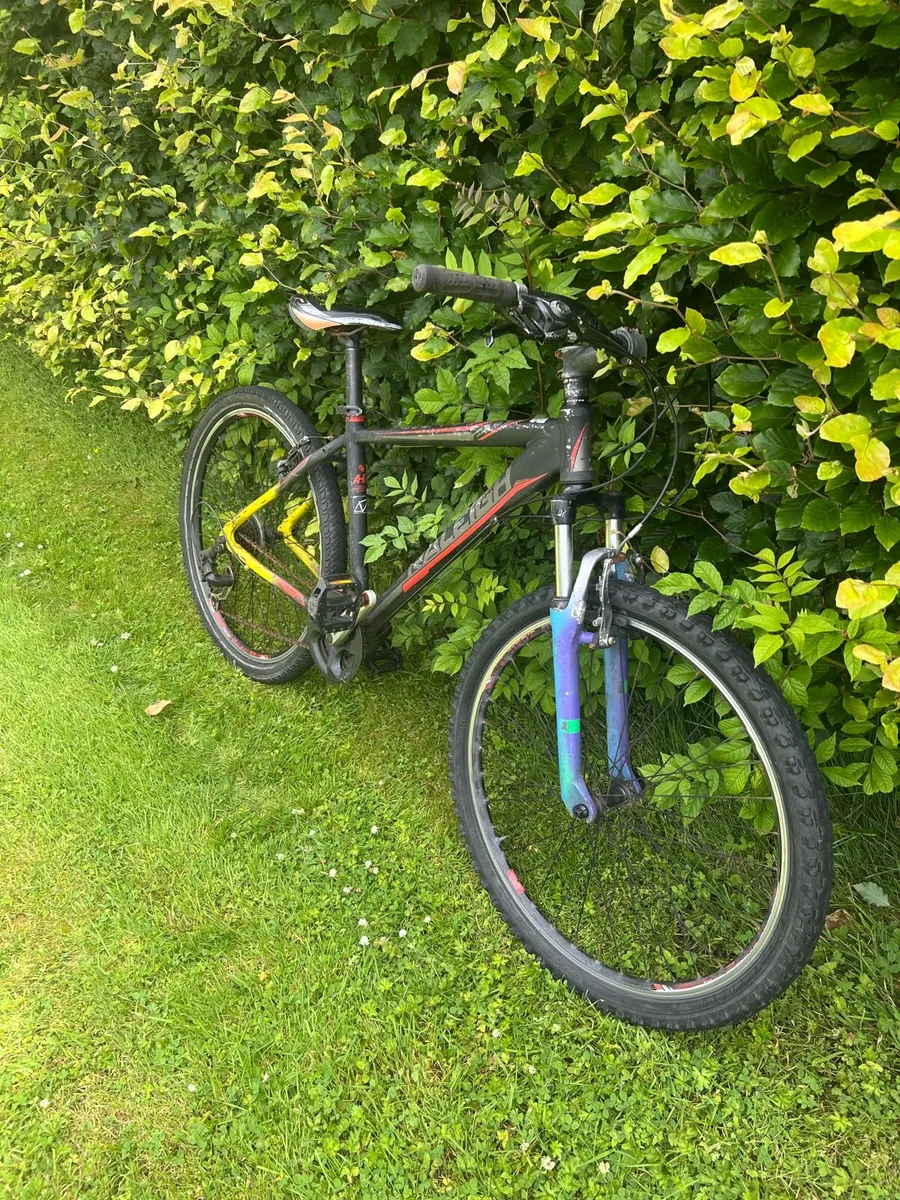 Bike - Image 2