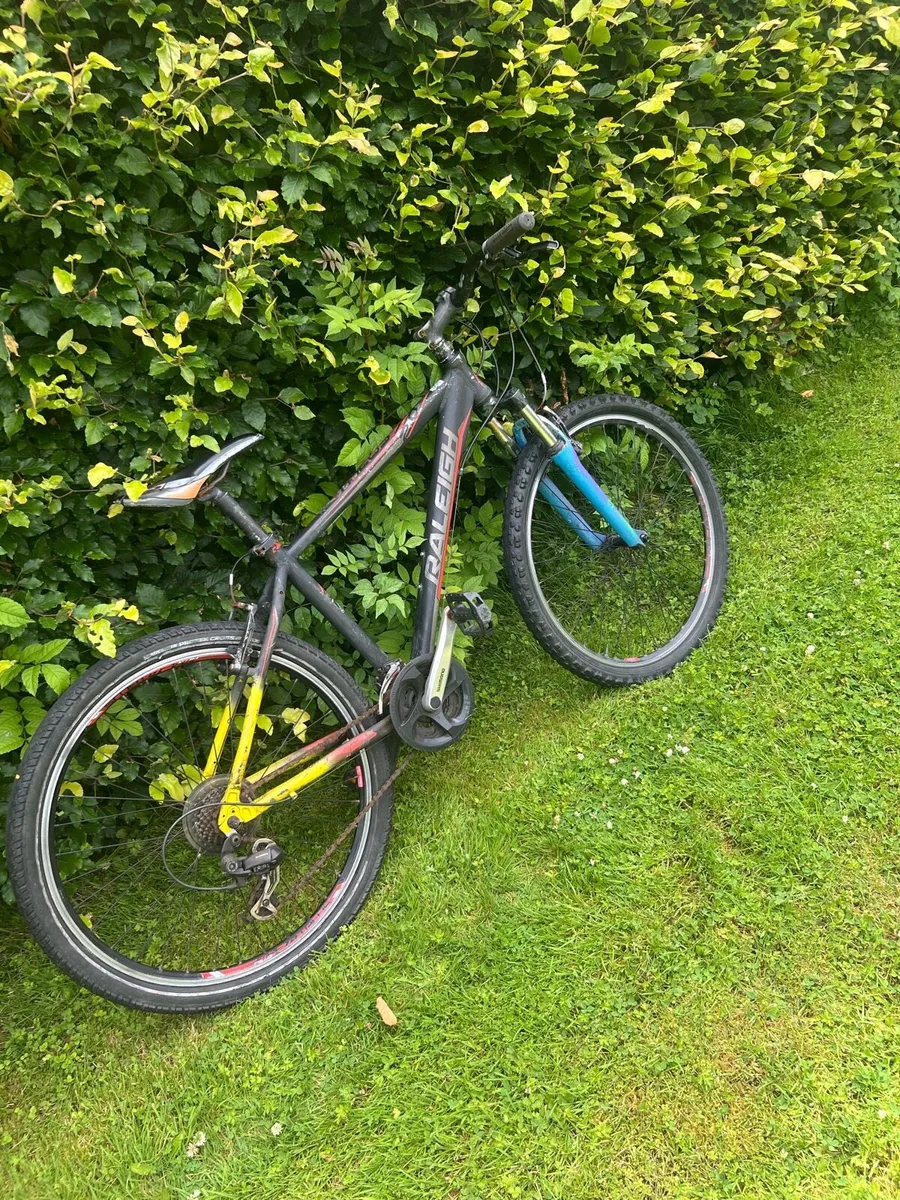 Bike - Image 4