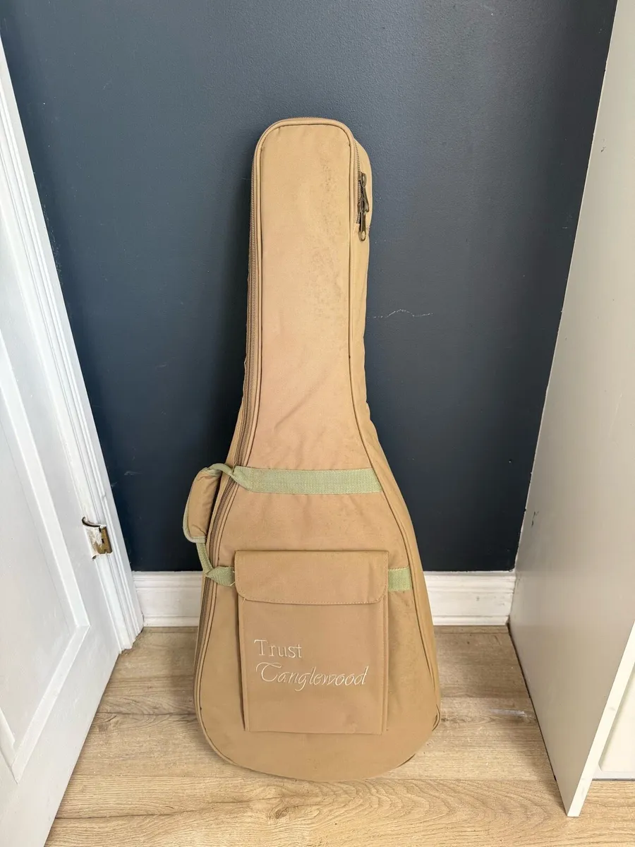 Classical Guitar - Image 4