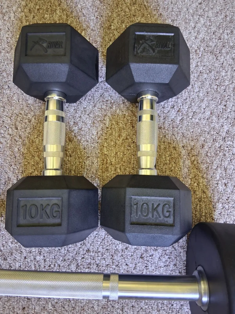 Weights and bench for sale - Image 1