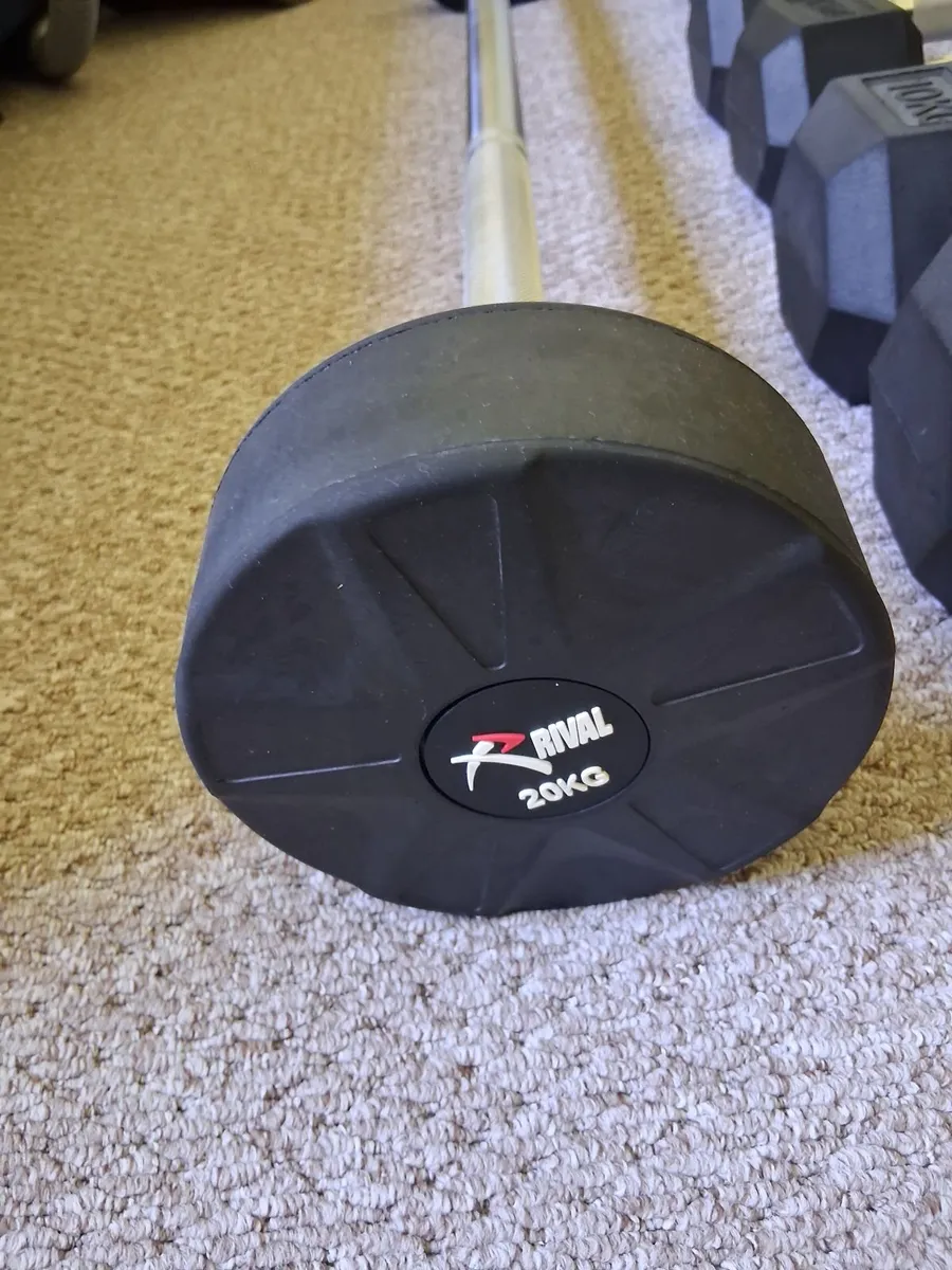 Weights and bench for sale - Image 2