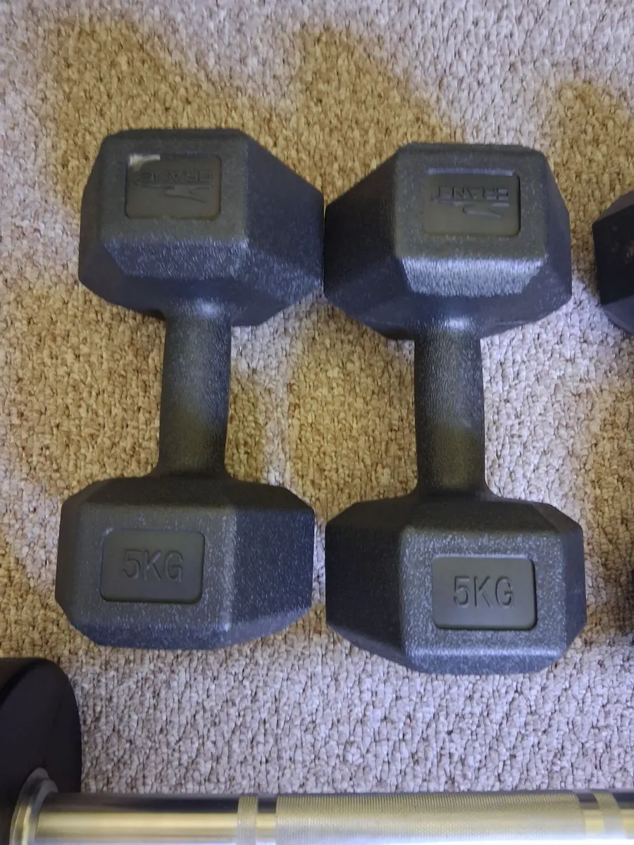 Weights and bench for sale - Image 4