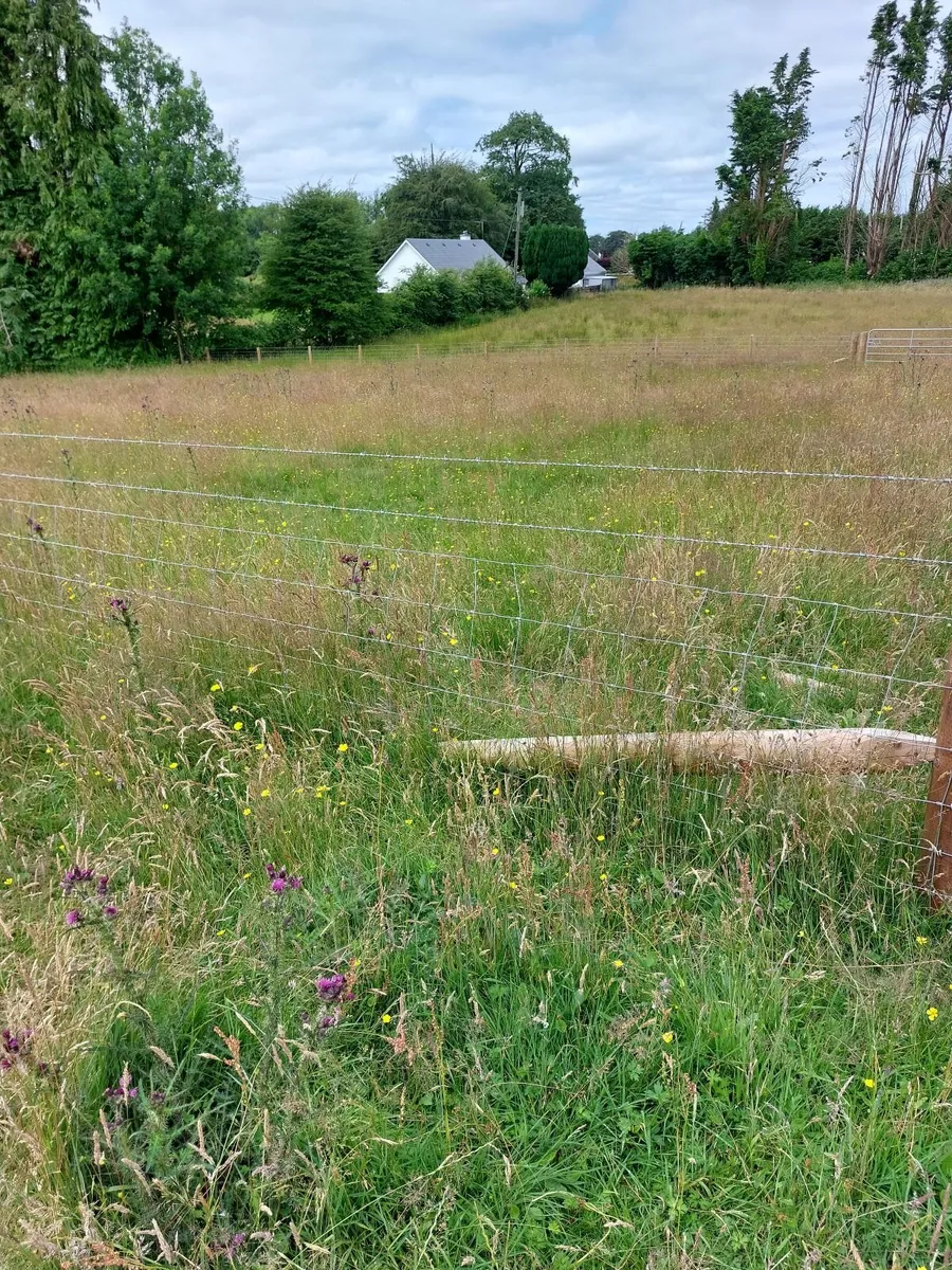 Site - Image 2