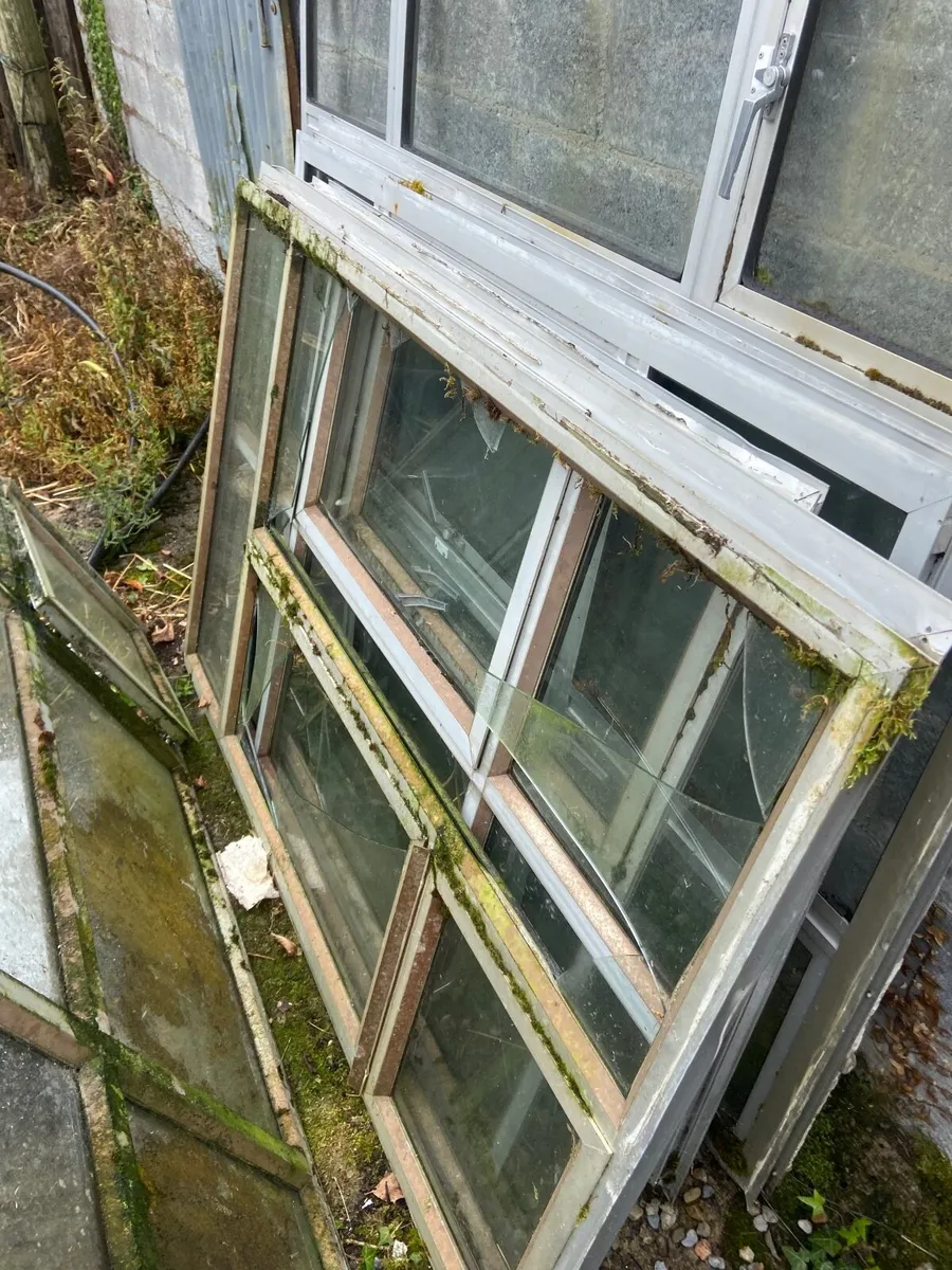 Windows - Image 1