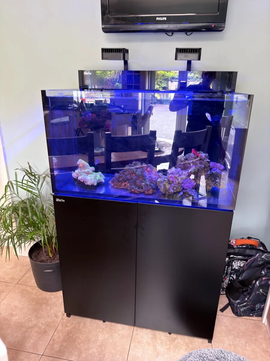 Red Sea max nano xxl and all equipment - Image 4