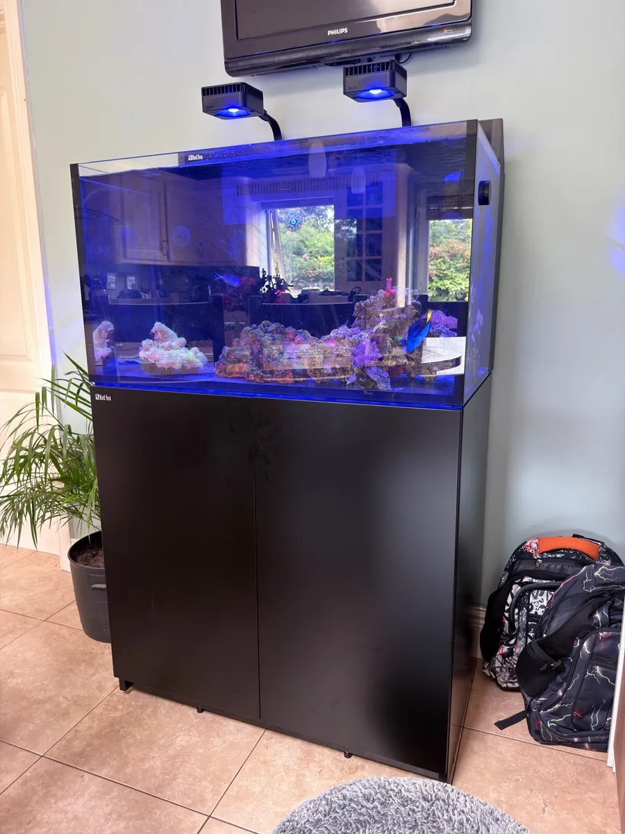 Red Sea max nano xxl and all equipment - Image 1