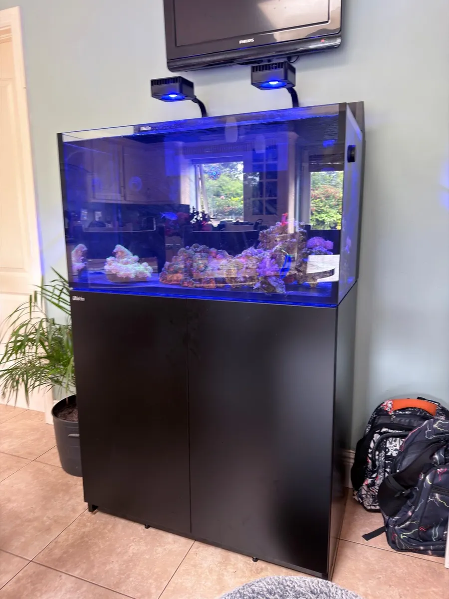 Red Sea max nano xxl and all equipment - Image 2