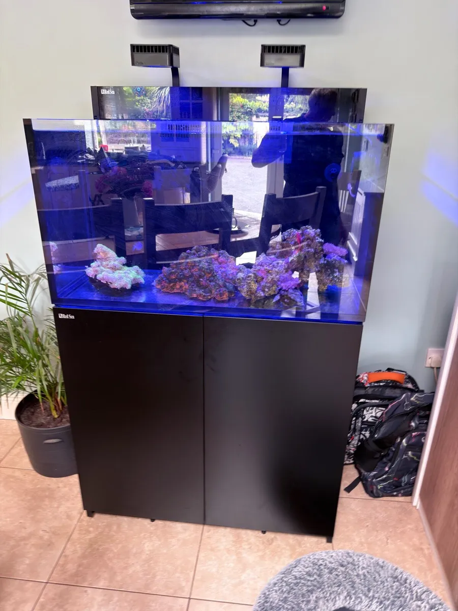 Red Sea max nano xxl and all equipment - Image 3