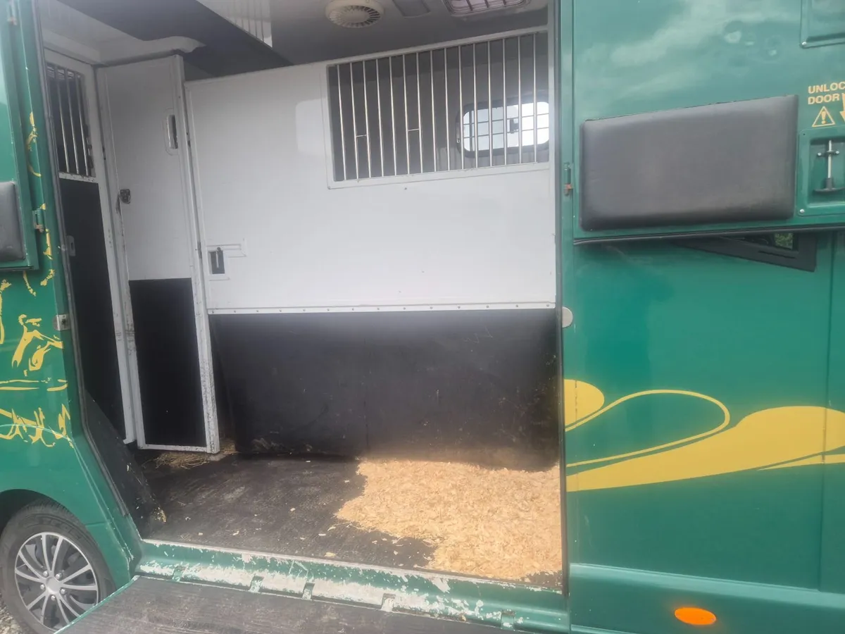 MTM Renault Master 2 stall horse box - Image 2