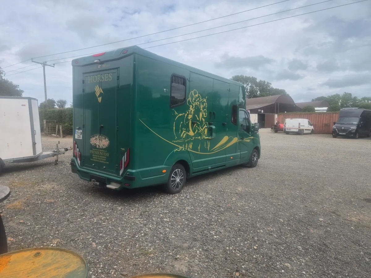 MTM Renault Master 2 stall horse box - Image 3
