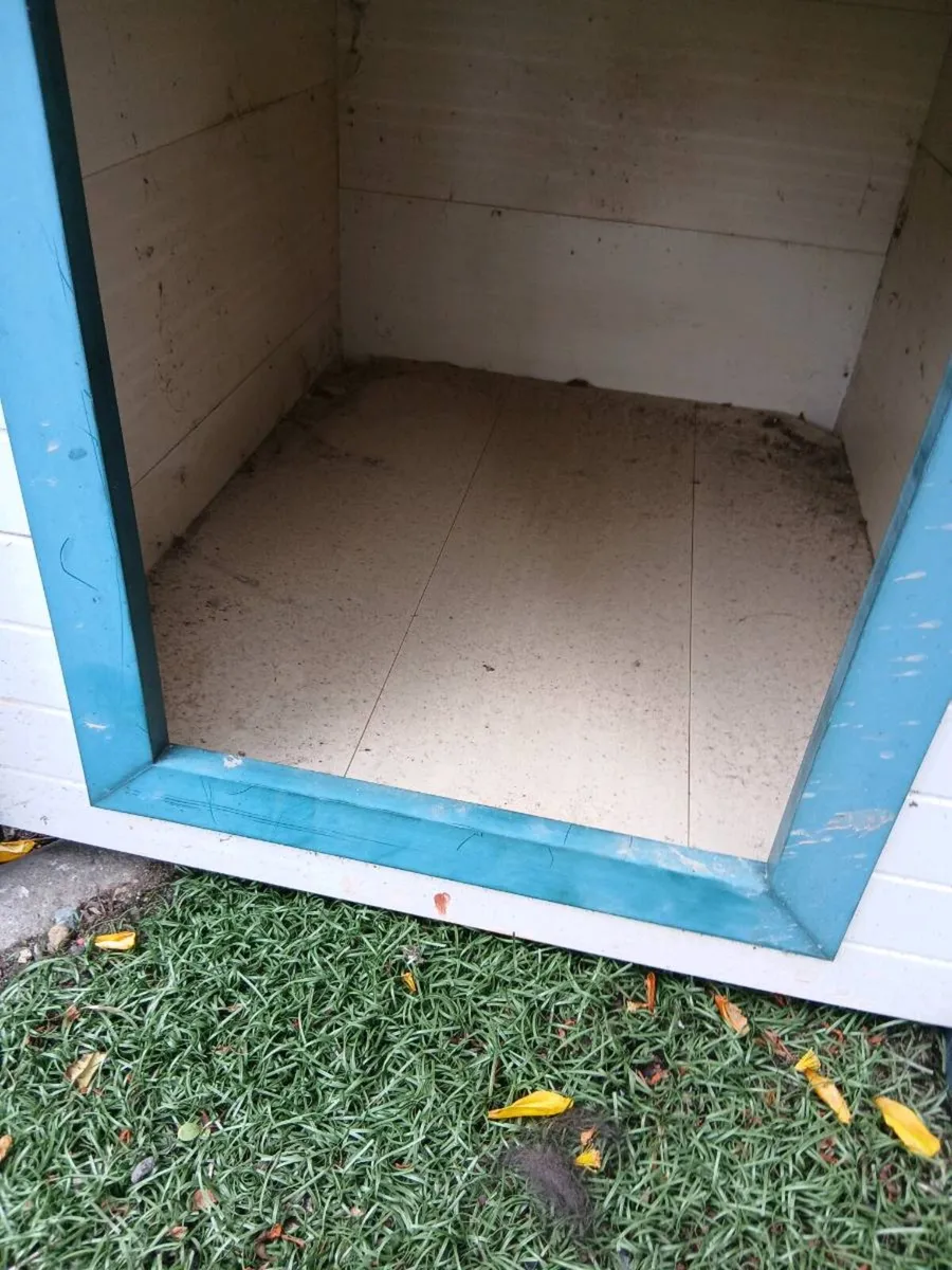Dog kennel - Image 4