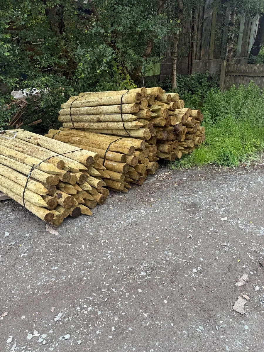 Stakes - Image 2