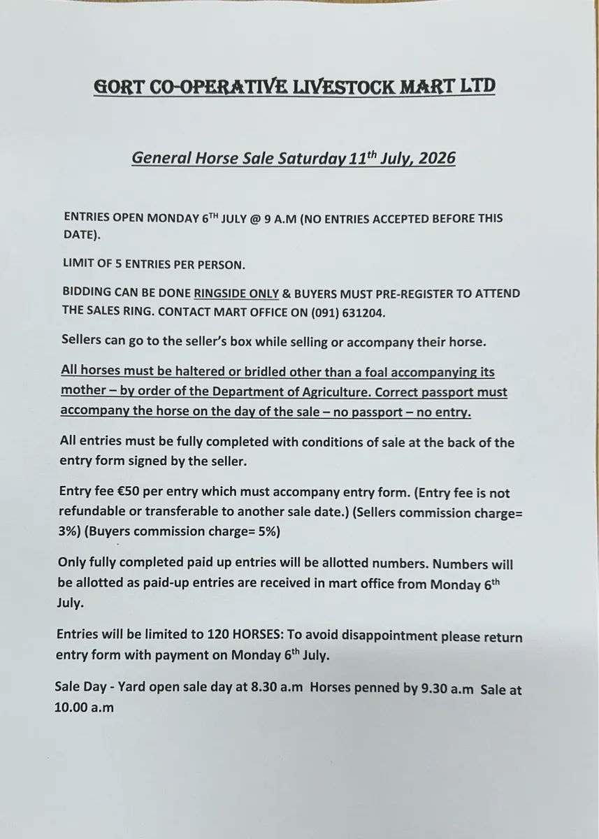 Gort Mart: Horse Sale : Saturday 12th July - Image 3