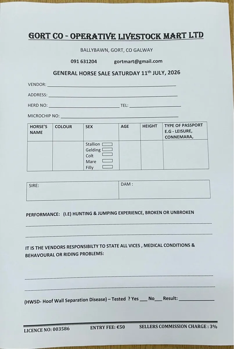 Gort Mart: Horse Sale : Saturday 12th July - Image 1