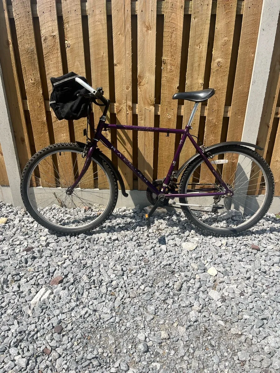 Raleigh Nexos Mountain Bike - Image 2