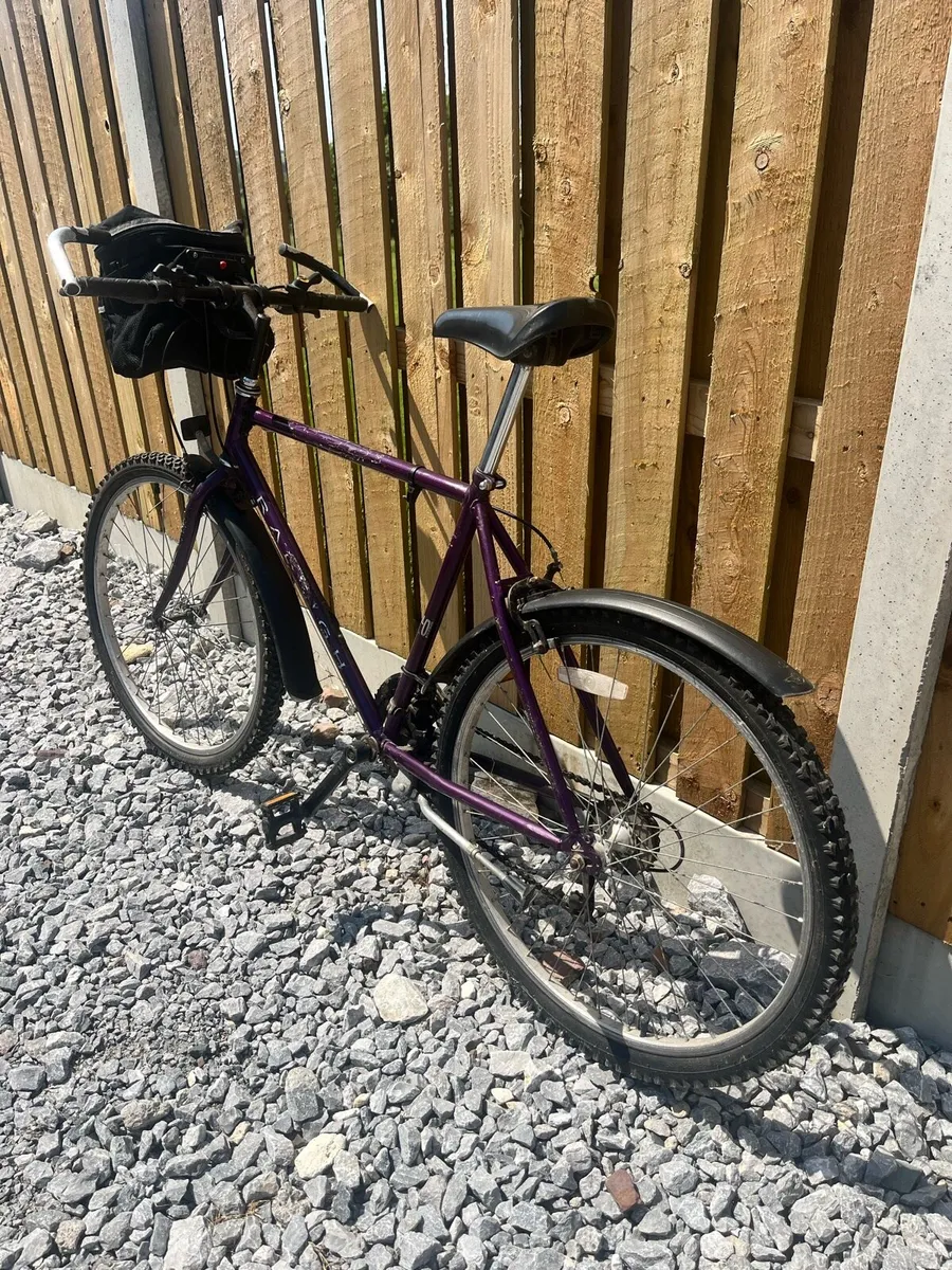Raleigh Nexos Mountain Bike - Image 3
