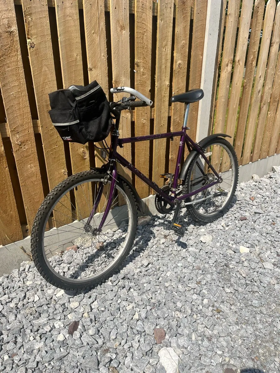 Raleigh Nexos Mountain Bike - Image 1