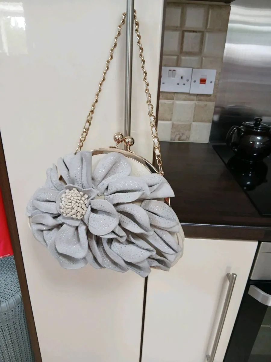 LADIES BAG + DUST BAG NEW - Image 1