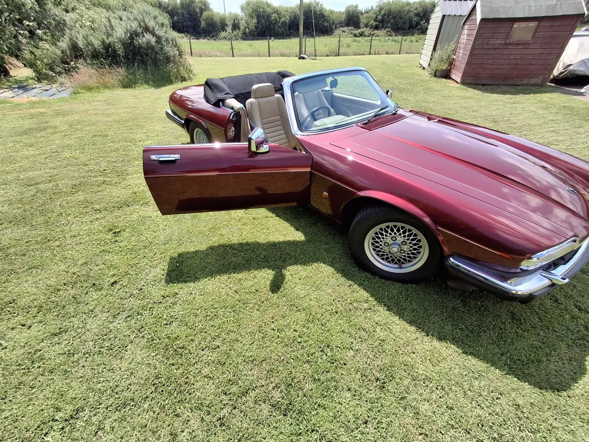 Jaguar Other 1992 - Image 3