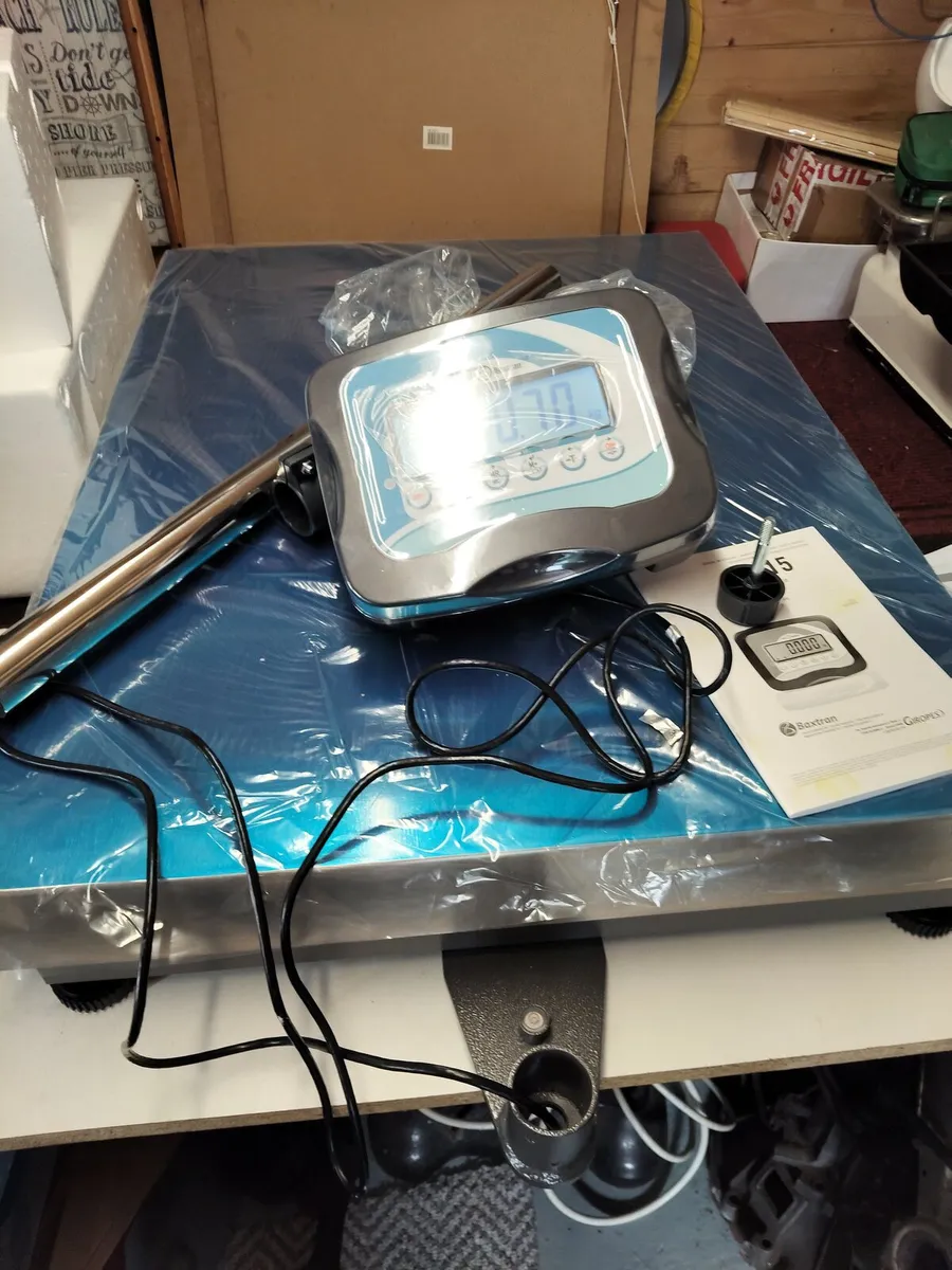 Industrial weighing scales - Image 1