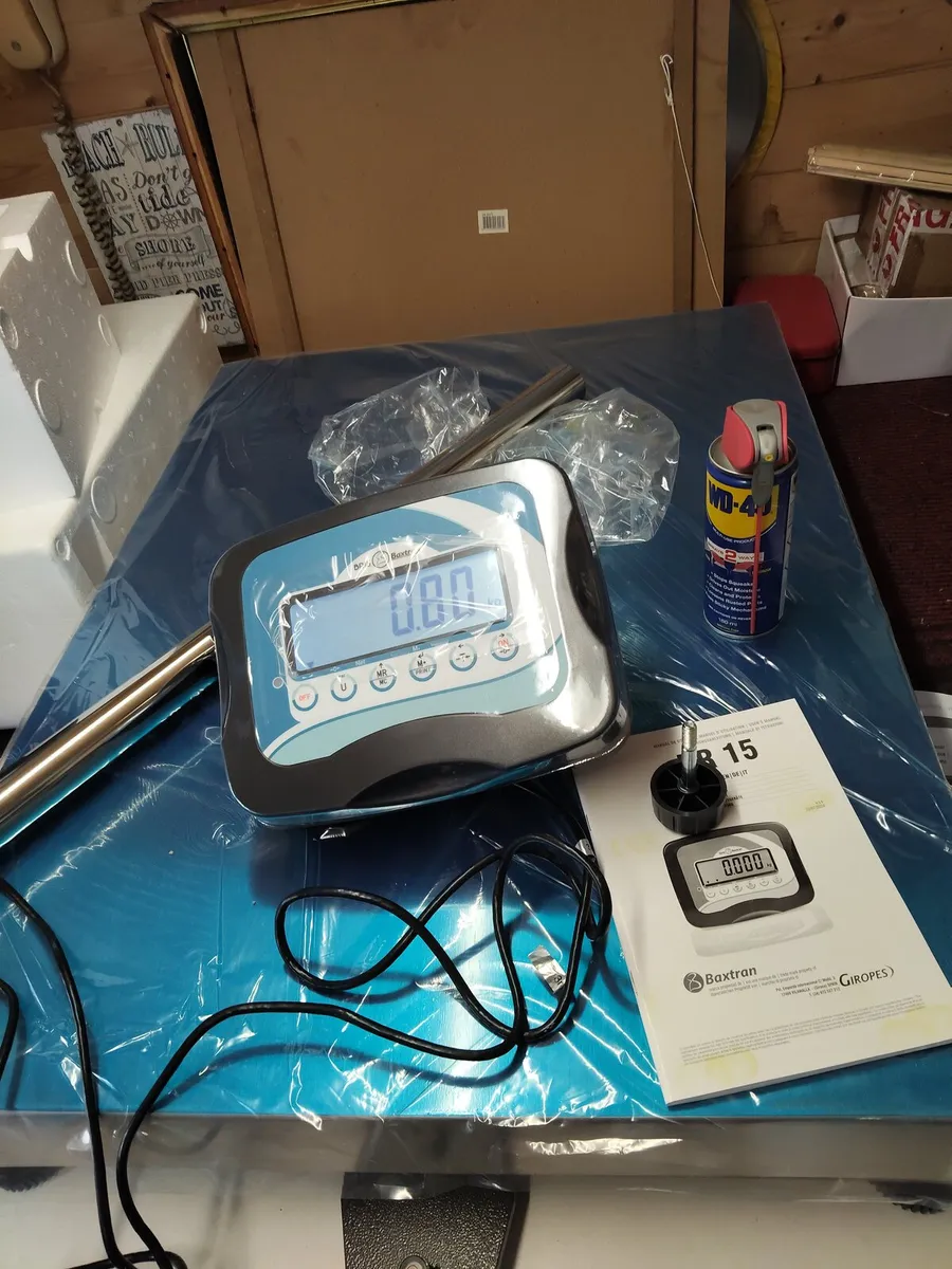 Industrial weighing scales - Image 2