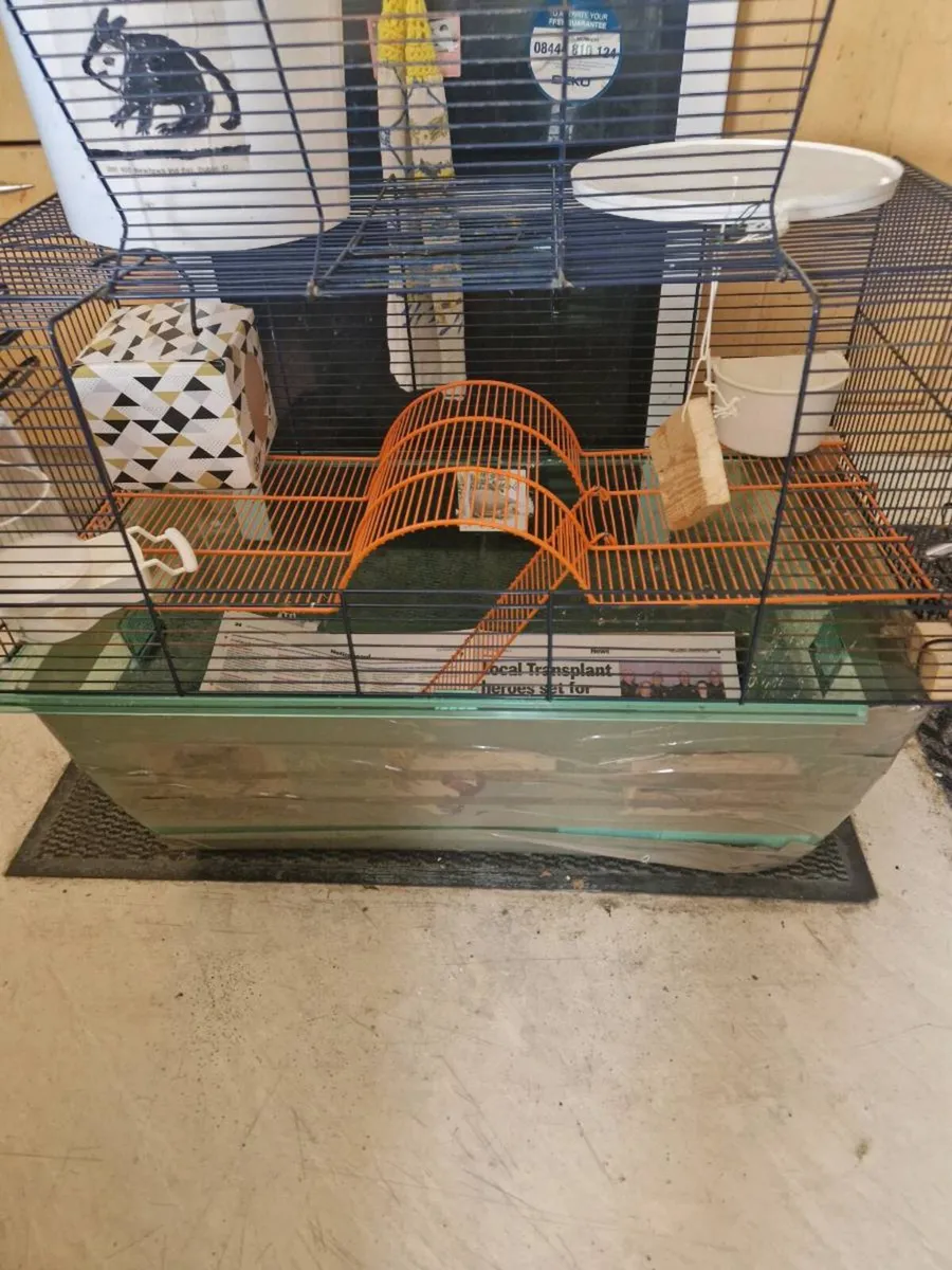 Hamster cage ginny pig rat cage - Image 1