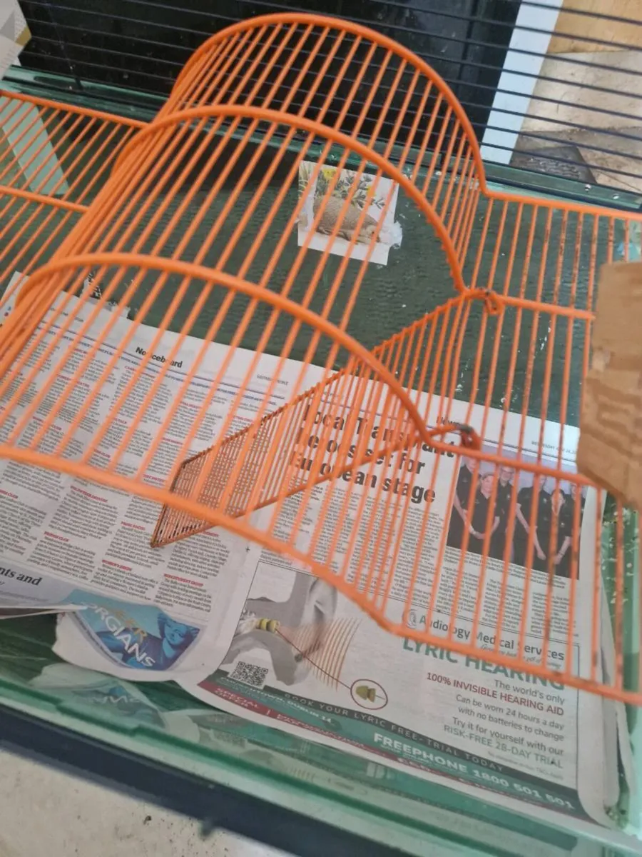 Hamster cage ginny pig rat cage - Image 3