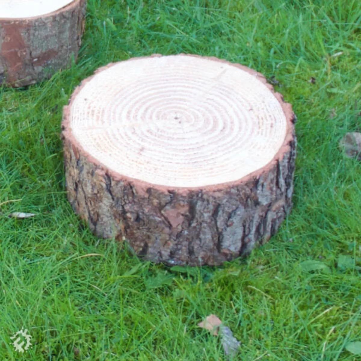 Logs