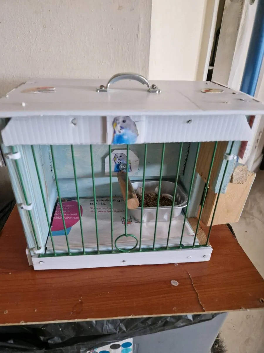 Transport box - Image 1