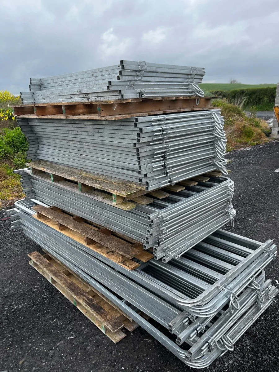 Sheep Hurdles 4ft, 5ft 6ft, 7ft, 8ft Reduced Price - Image 3