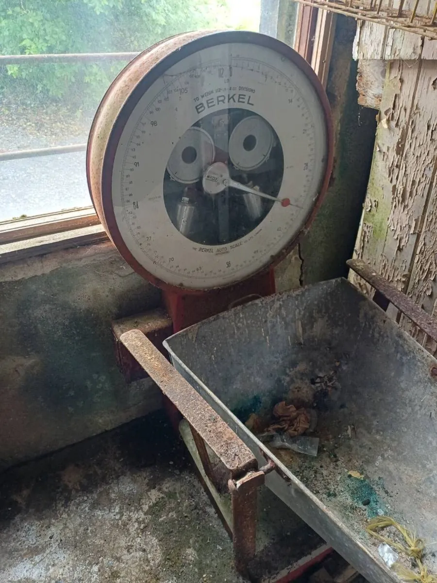 BERKEL Machines - Image 1