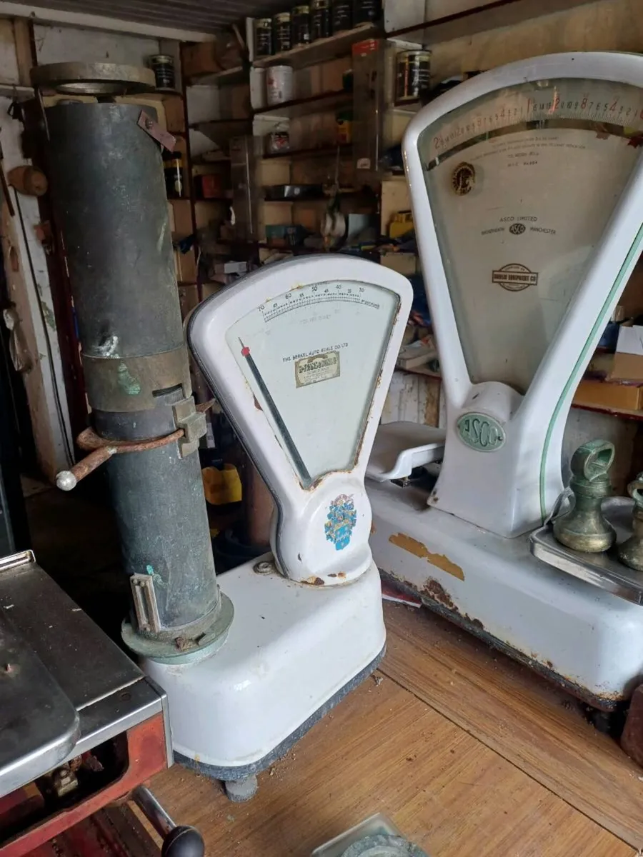 BERKEL Machines - Image 3