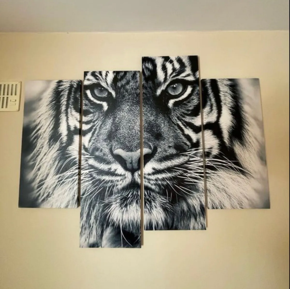 Canvas - Image 1