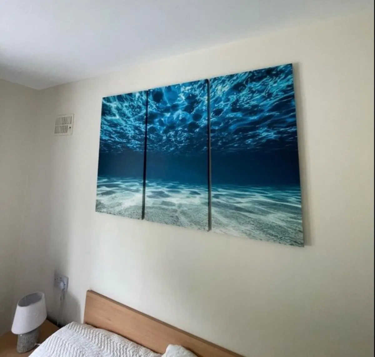 Canvas - Image 2