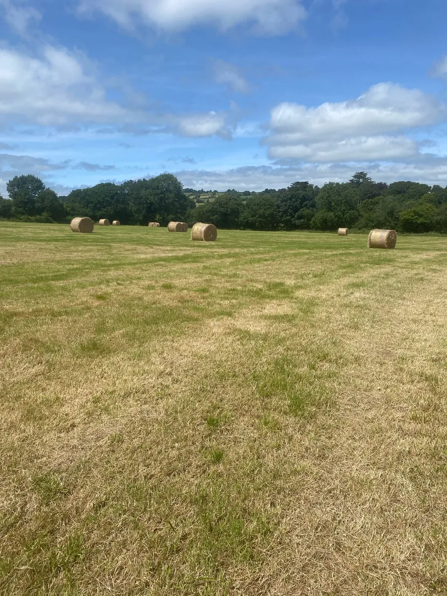 2026 Hay & Haylage