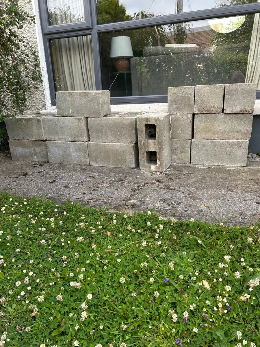 Free Double cavity concrete blocks - Image 4