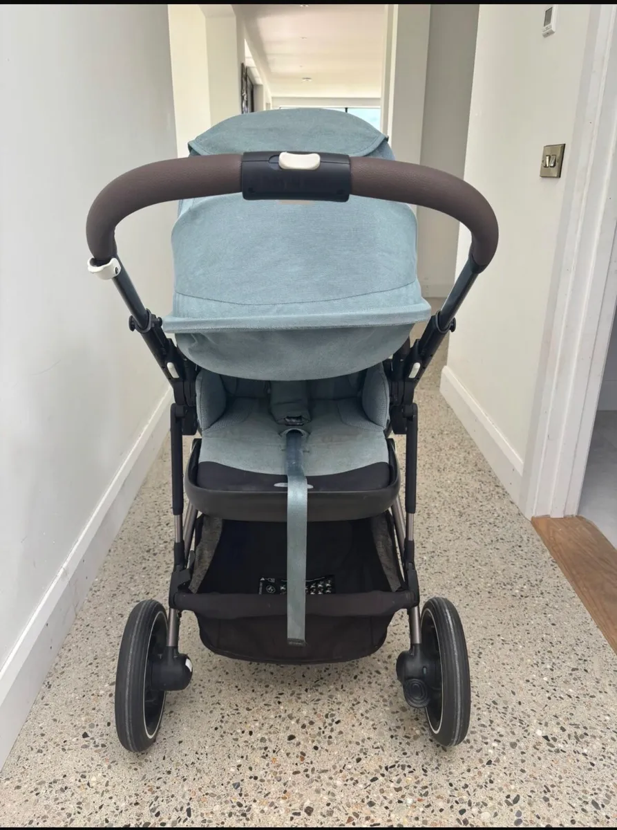 Buggy - Image 3