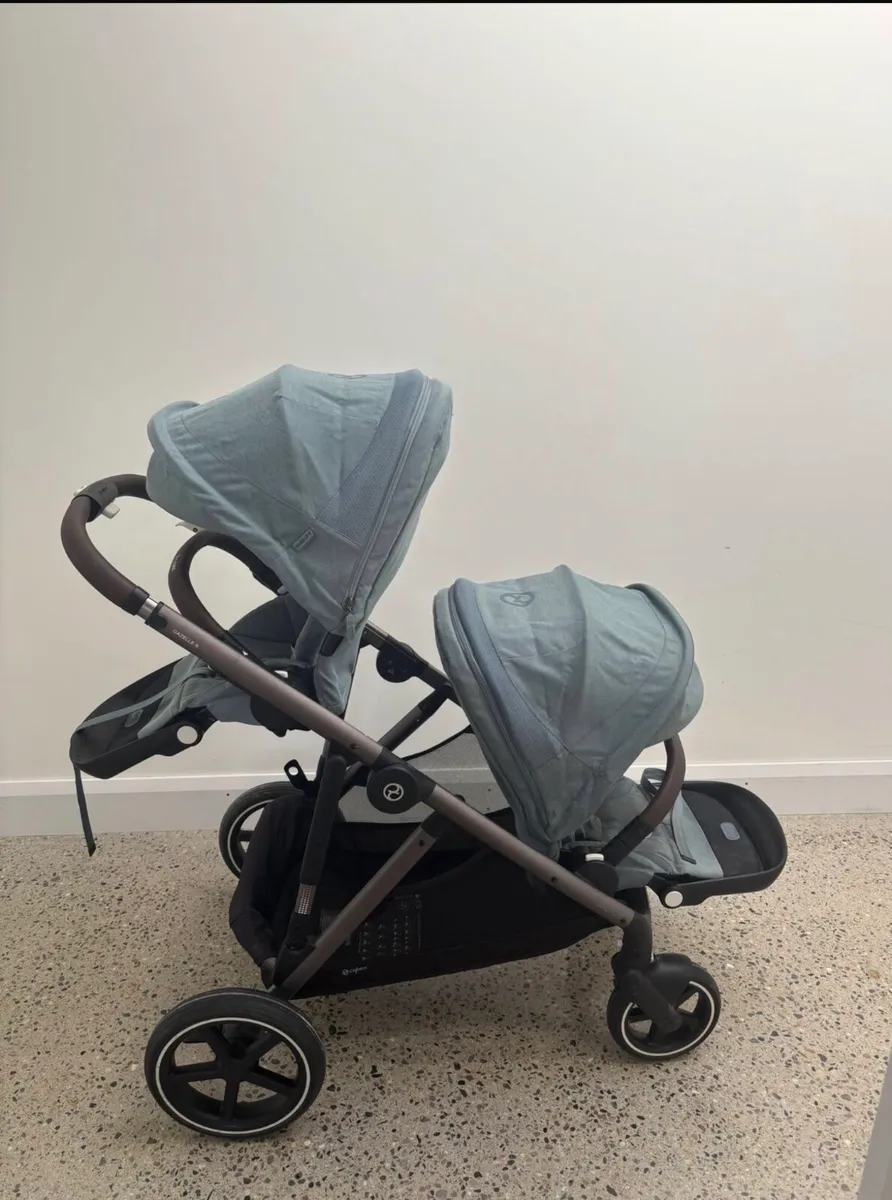 Buggy - Image 4