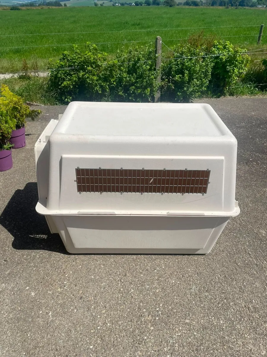 Large dog kennel - Image 1