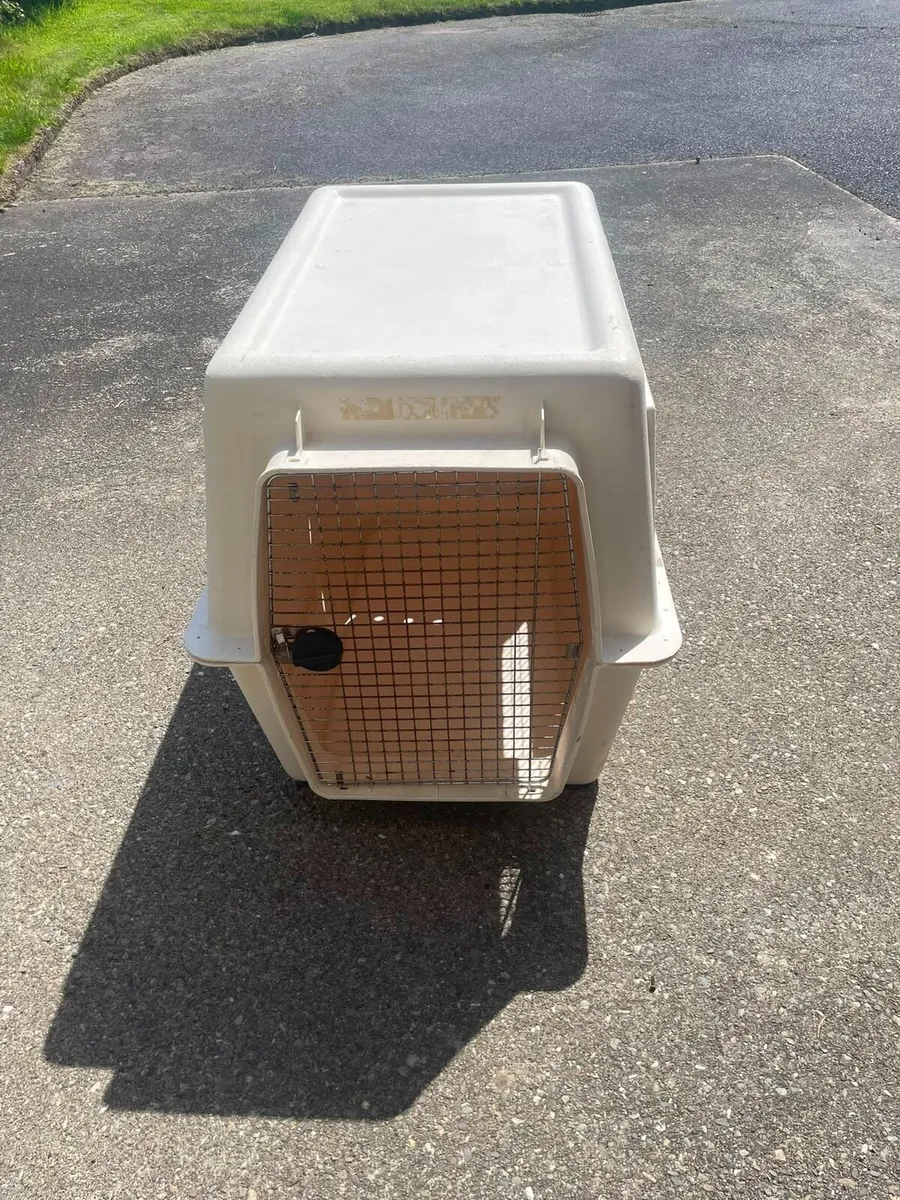 Large dog kennel - Image 3