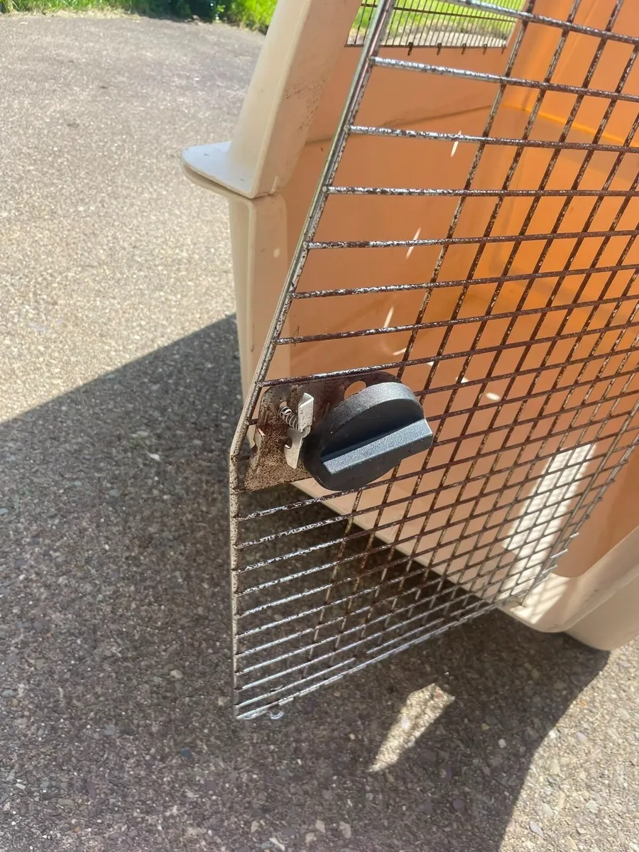 Large dog kennel - Image 4