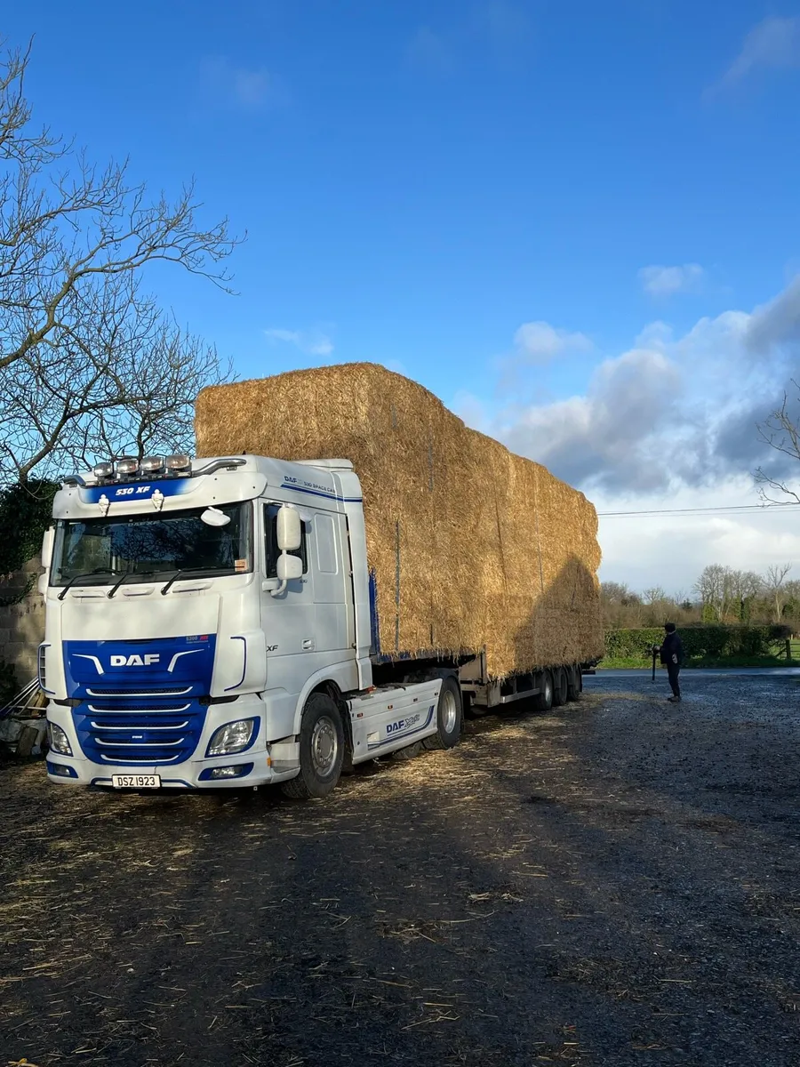 New season Barley Straw - Image 2