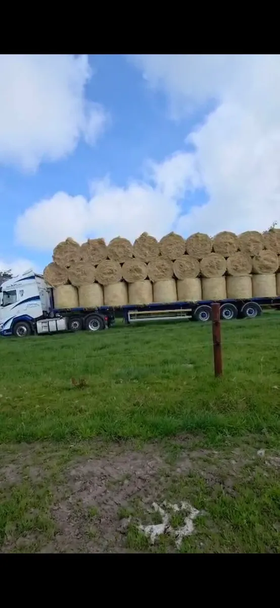 Hay