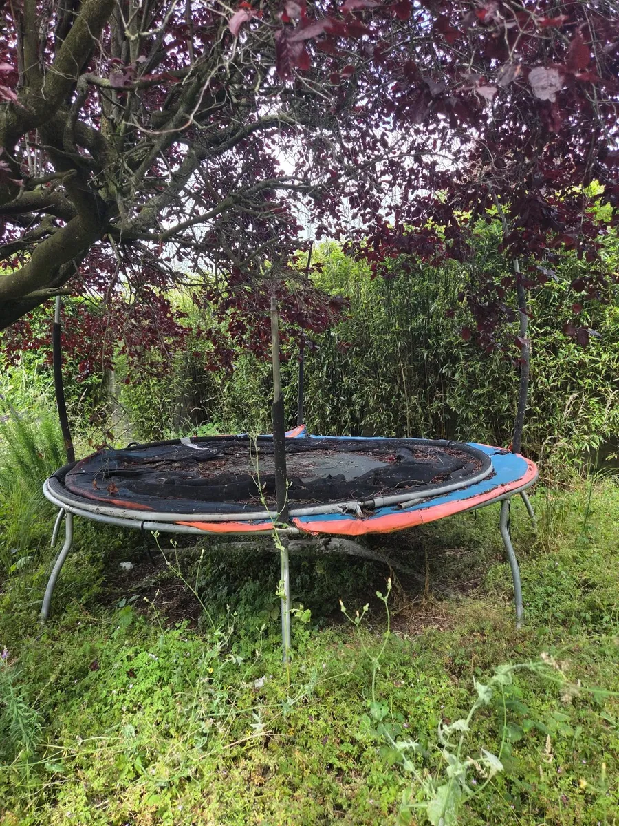 Free Trampoline
