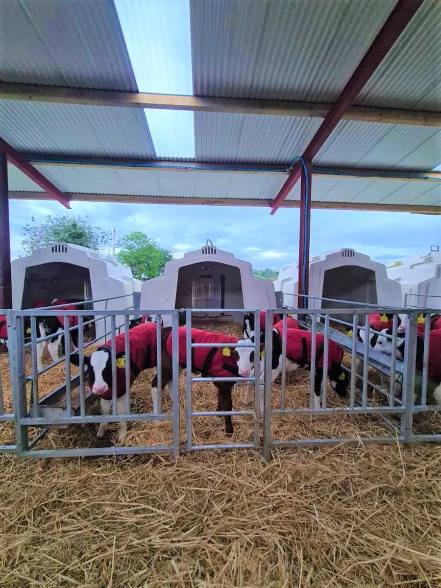 Calf Hutch - Image 1