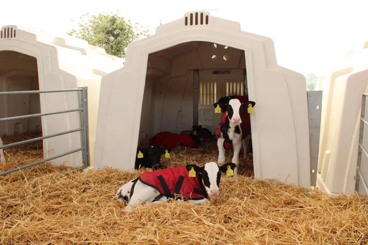 Calf Hutch - Image 3