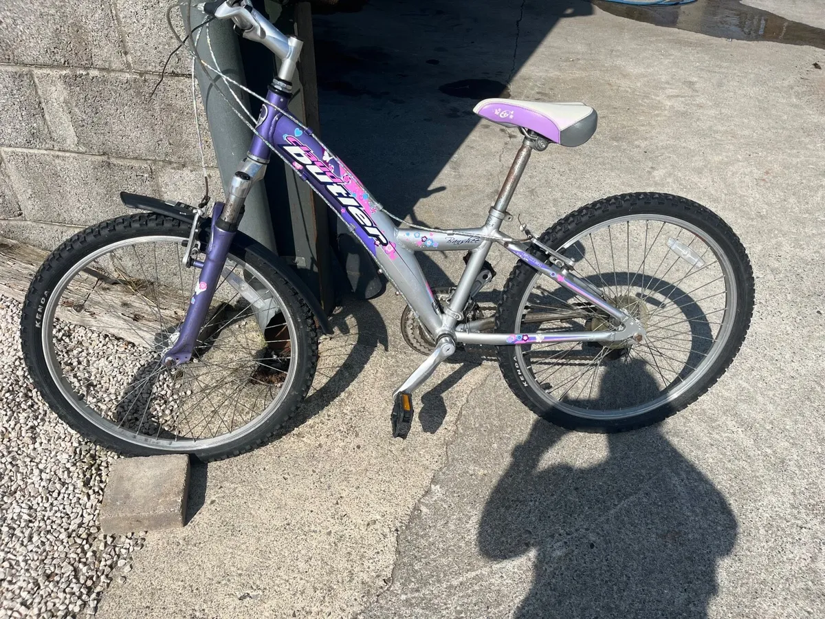 Girls bicycle