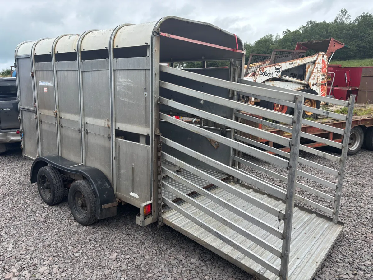Ifor Williams 10ft x 5ft cattle trailer - Image 4